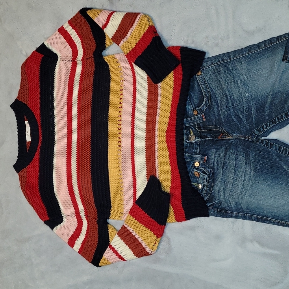 Vici / Lush Stripe Knit Sweater